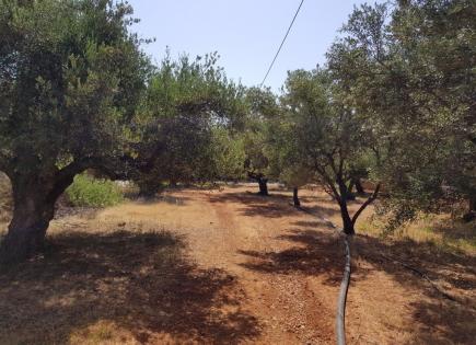 Land for 210 000 euro in Lasithi, Greece