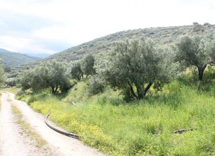 Land for 267 000 euro in Lasithi, Greece