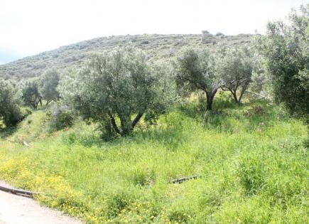 Land for 225 000 euro in Lasithi, Greece