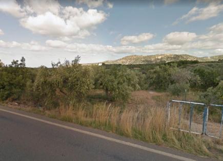 Land for 320 000 euro in Sissi, Greece