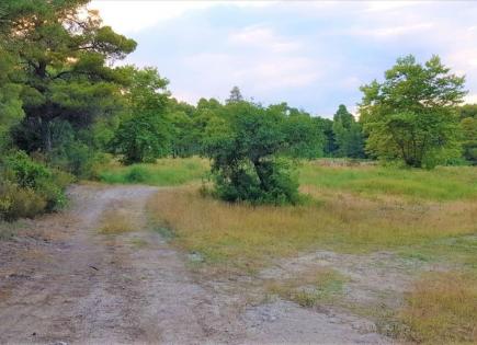 Land for 650 000 euro in Sithonia, Greece