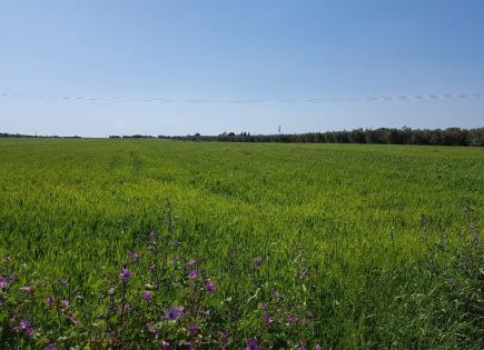 Land for 650 000 euro in Chalkidiki, Greece