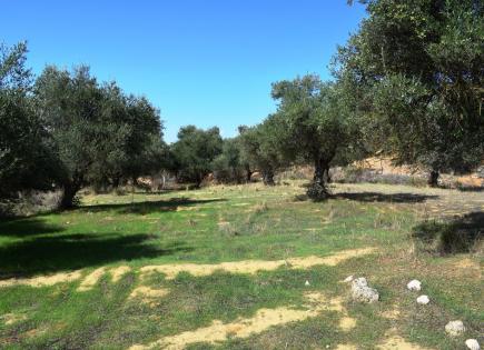 Land for 270 000 euro in Chania, Greece
