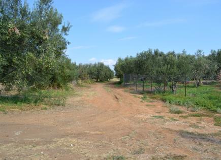 Land for 1 500 000 euro in Sani, Greece