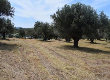 Terreno para 300 000 euro en Prefectura de Rethymno, Grecia