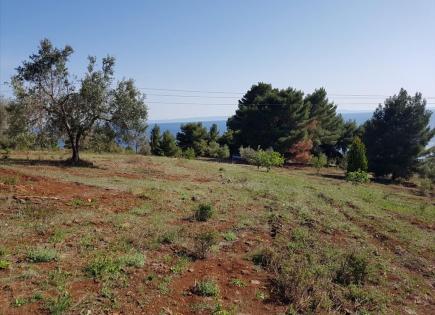 Land for 540 000 euro in Chalkidiki, Greece