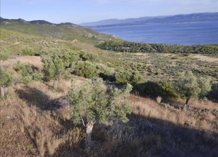 Land for 250 000 euro in Corinthia, Greece