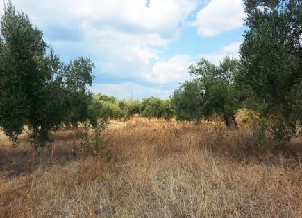 Land for 294 000 euro in Sithonia, Greece