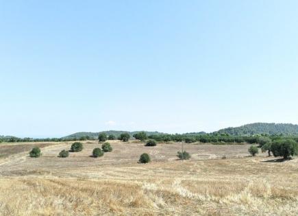 Land for 170 000 euro in Kassandra, Greece