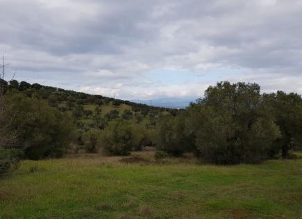 Land for 160 000 euro in Sithonia, Greece