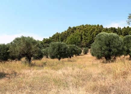 Land for 300 000 euro in Chalkidiki, Greece