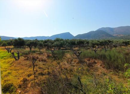Land for 400 000 euro in Milatos, Greece