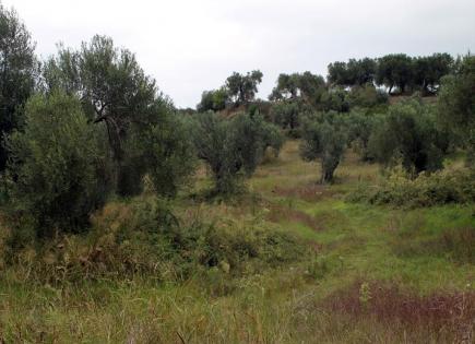 Land for 900 000 euro in Chalkidiki, Greece