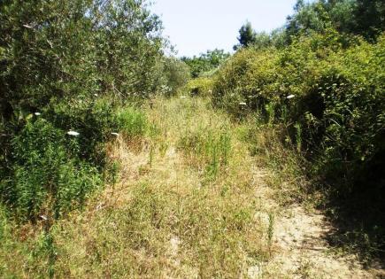 Land for 350 000 euro in Sani, Greece
