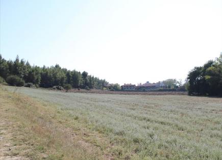 Land for 500 000 euro in Sani, Greece