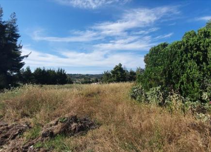Land for 380 000 euro in Chalkidiki, Greece