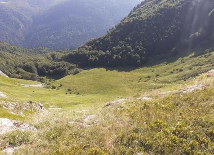 Land for 258 000 euro in Kolasin, Montenegro