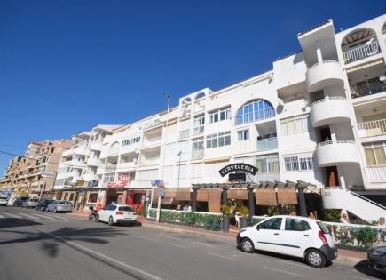 Shop for 166 000 euro in Torrevieja, Spain