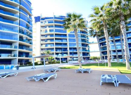 Appartement pour 170 Euro par jour à Punta Prima, Espagne