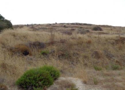 Land for 290 000 euro in Paphos, Cyprus