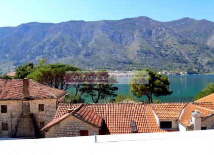 Apartment for 200 000 euro in Dobrota, Montenegro