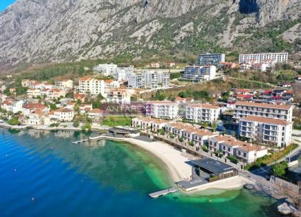 Apartment for 495 000 euro in Dobrota, Montenegro