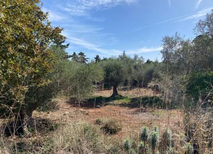 Land for 200 000 euro in Chania, Greece