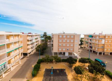 Apartment for 117 000 euro in Punta Prima, Spain