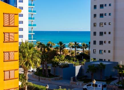 Apartment for 100 euro per day on Costa Blanca, Spain