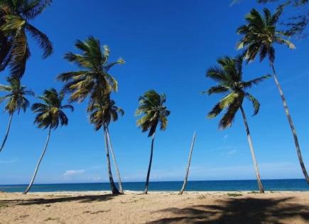 Land for 373 274 euro in Punta Cana, Dominican Republic