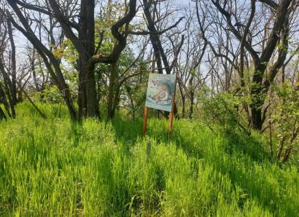 Land for 120 000 euro in Hungary