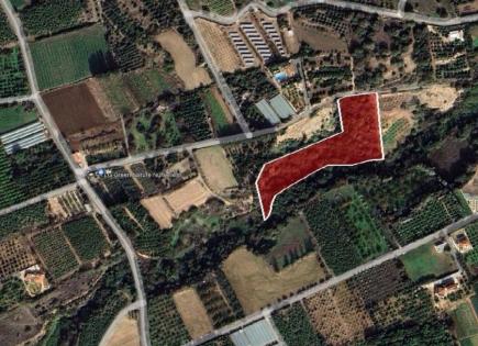 Land for 160 000 euro in Paphos, Cyprus