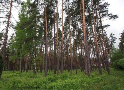 Land for 396 000 euro in Riga District, Latvia