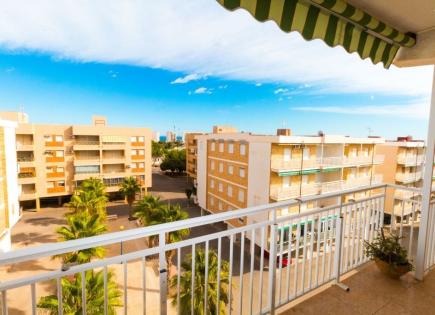 Apartment für 117 000 euro in Punta Prima, Spanien