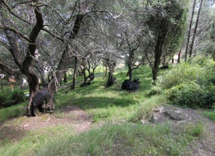 Land for 350 000 euro on Ionian Islands, Greece