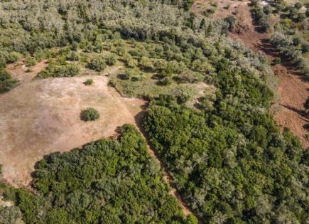 Land for 150 000 euro on Ionian Islands, Greece