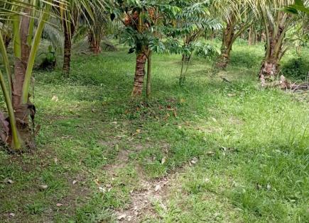 Land for 84 654 euro in Ubud, Indonesia