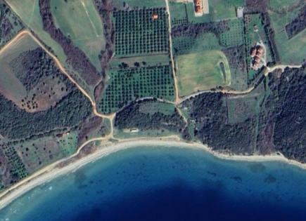 Land for 260 000 euro in Chalkidiki, Greece