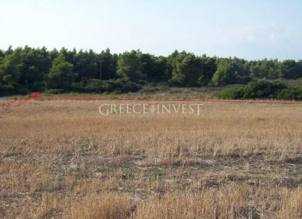 Terrain pour 1 000 000 Euro en Chalcidique, Grèce
