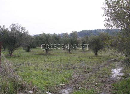 Land for 1 750 000 euro in Chalkidiki, Greece