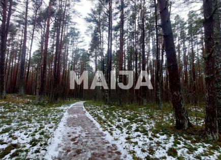 Land for 29 000 euro in Latvia