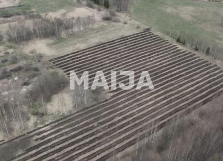 Land for 15 000 euro in Latvia