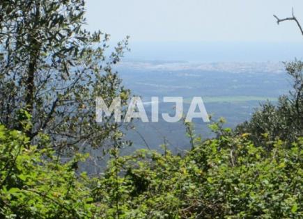 Land for 58 000 euro in Portugal