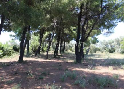 Land for 830 000 euro in Chalkidiki, Greece