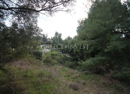 Land for 750 000 euro in Chalkidiki, Greece