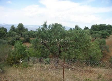 Land for 230 000 euro in Chalkidiki, Greece