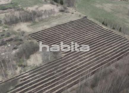 Land for 15 000 euro in Latvia