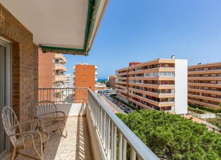 Appartement pour 114 000 Euro à Torrevieja, Espagne