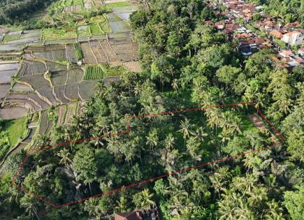 Land for 410 753 euro in Ubud, Indonesia