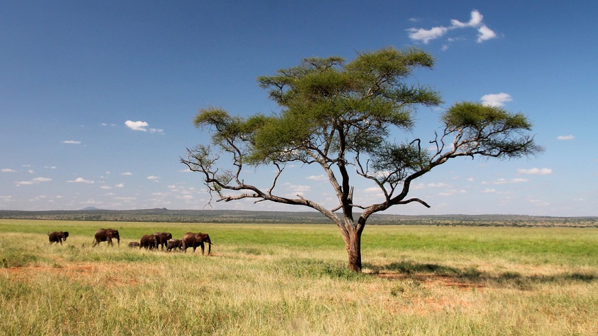 Tanzania